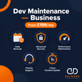 Business website maintenance plan by DD Network